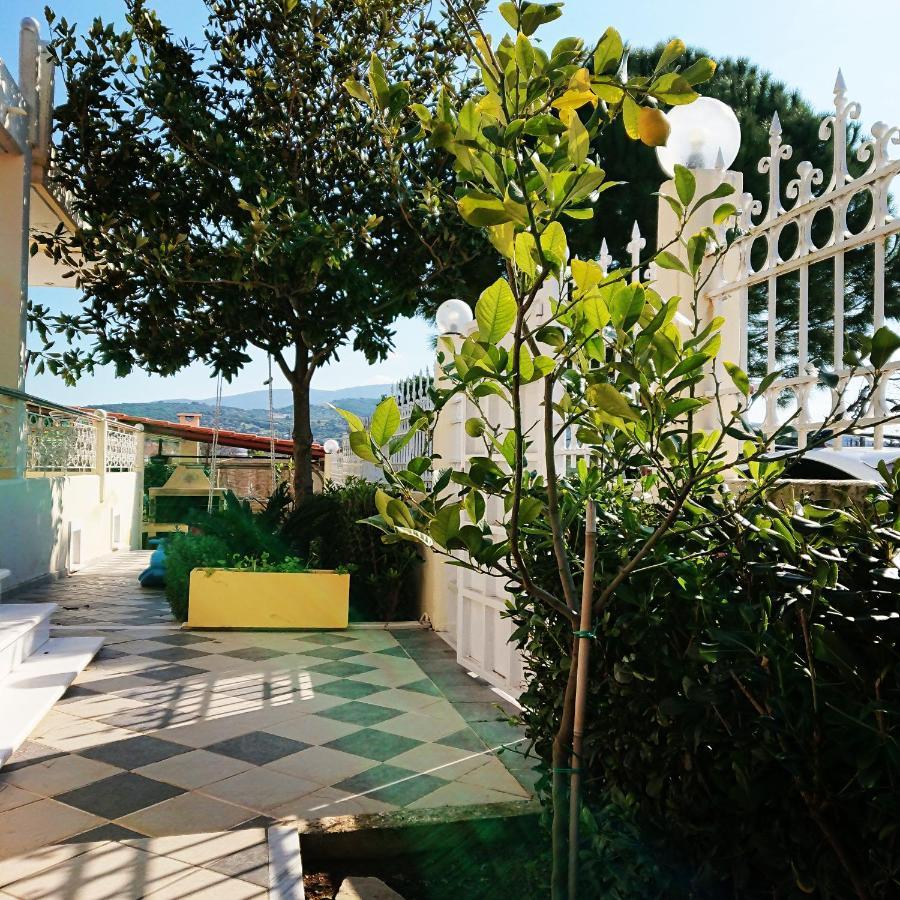 Villa Filoxenia All Seasons, Near Airport, Sea, Athens Agia Marina  Екстериор снимка