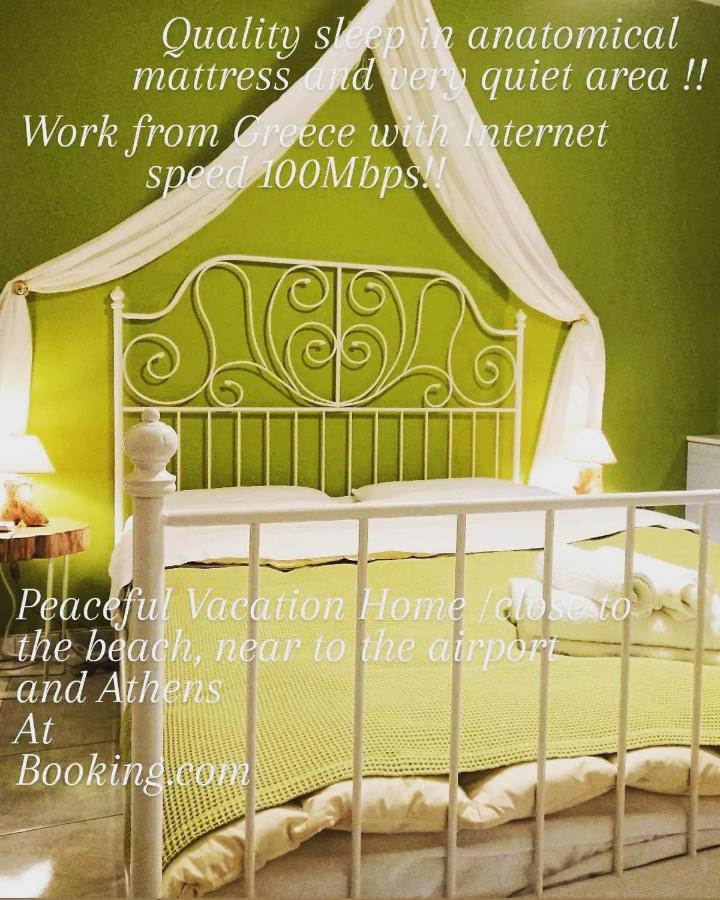 Villa Filoxenia All Seasons, Near Airport, Sea, Athens Agia Marina  Екстериор снимка