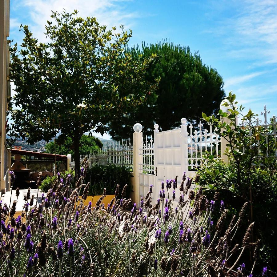 Villa Filoxenia All Seasons, Near Airport, Sea, Athens Agia Marina  Екстериор снимка