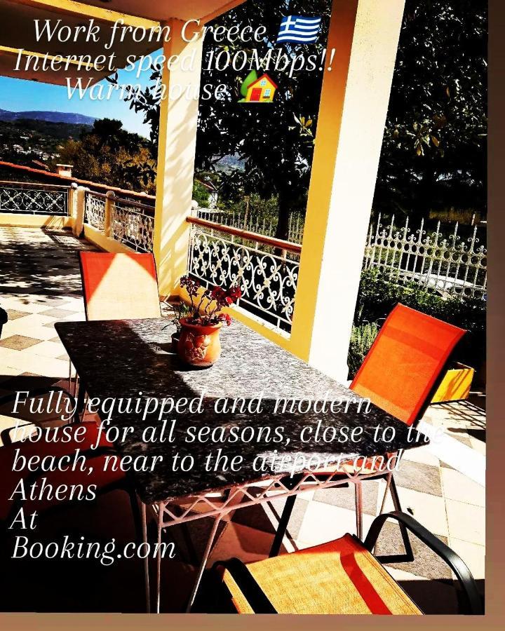 Villa Filoxenia All Seasons, Near Airport, Sea, Athens Agia Marina  Екстериор снимка
