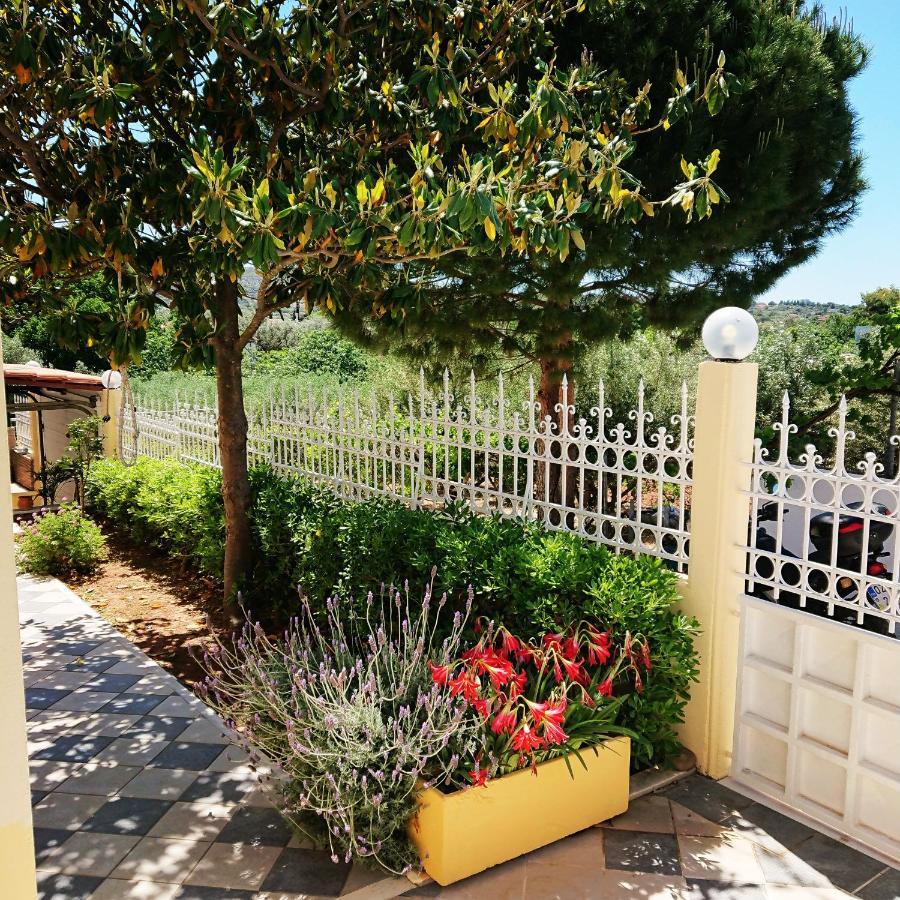 Villa Filoxenia All Seasons, Near Airport, Sea, Athens Agia Marina  Екстериор снимка