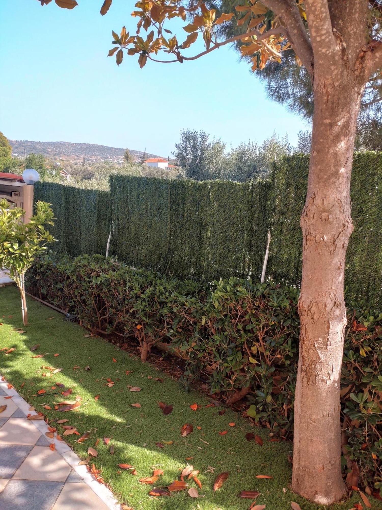 Villa Filoxenia All Seasons, Near Airport, Sea, Athens Agia Marina  Екстериор снимка
