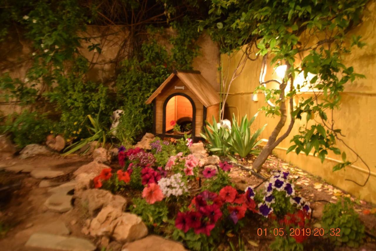 Villa Filoxenia All Seasons, Near Airport, Sea, Athens Agia Marina  Екстериор снимка