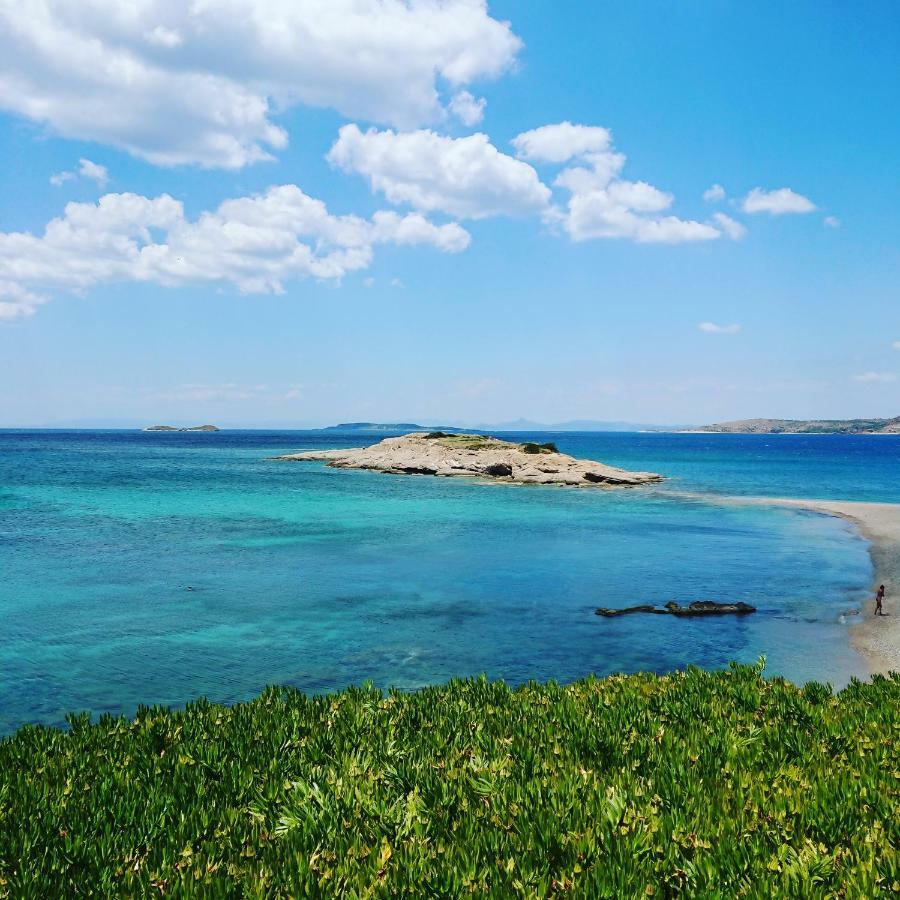 Villa Filoxenia All Seasons, Near Airport, Sea, Athens Agia Marina  Екстериор снимка