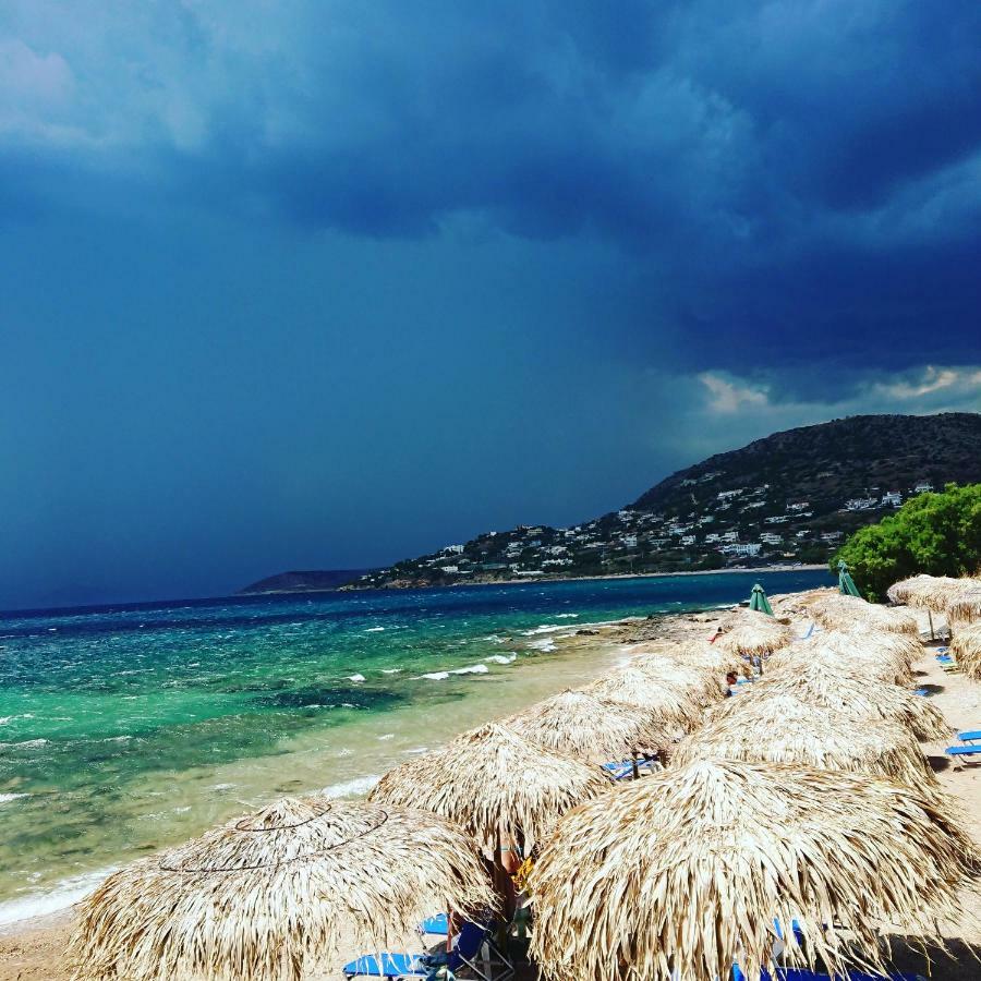 Villa Filoxenia All Seasons, Near Airport, Sea, Athens Agia Marina  Екстериор снимка