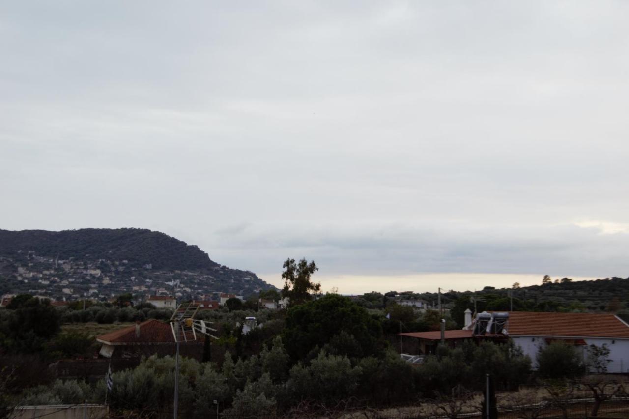 Villa Filoxenia All Seasons, Near Airport, Sea, Athens Agia Marina  Екстериор снимка